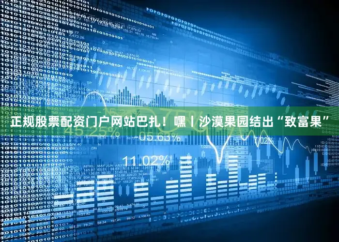 正规股票配资门户网站巴扎！嘿丨沙漠果园结出“致富果”