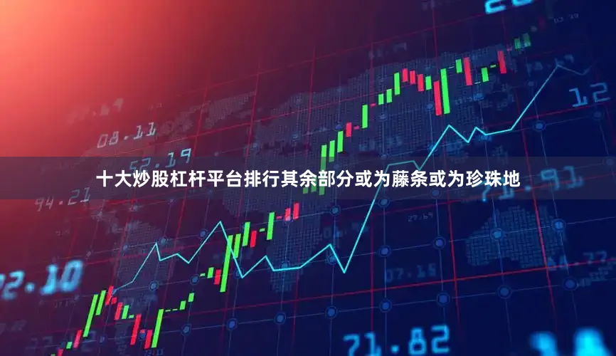 十大炒股杠杆平台排行其余部分或为藤条或为珍珠地