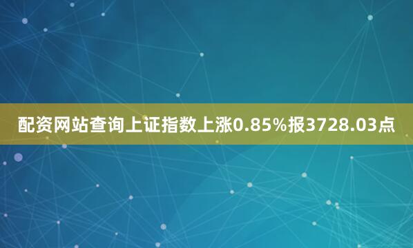 配资网站查询上证指数上涨0.85%报3728.03点