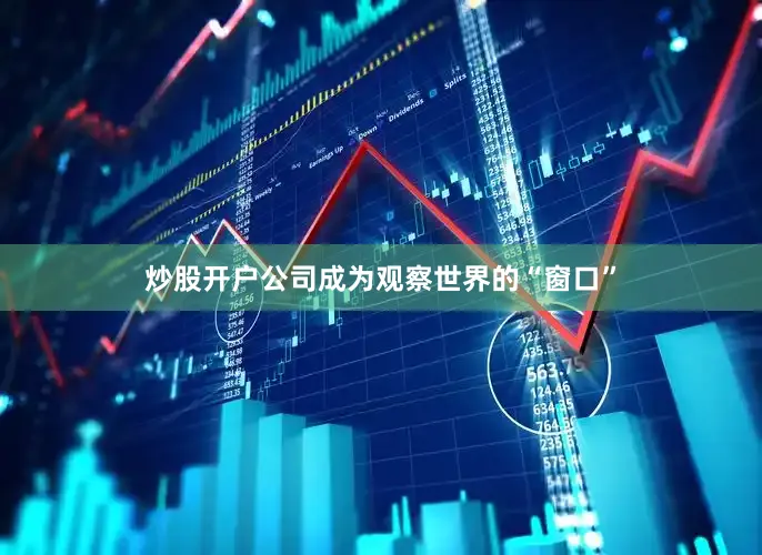 炒股开户公司成为观察世界的“窗口”